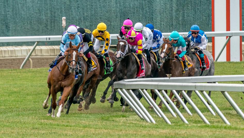 Haskell Stakes, Monmouth Park, horse racing, America's Best Racing, ABR